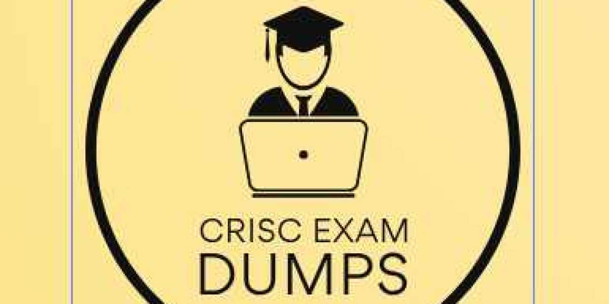CRISC Dumps Professionals Project Managers Chief Information Officer