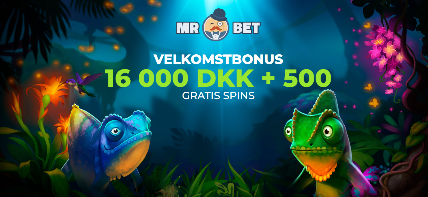 Mr Bet Casino Danmark: Spil & Mere ?️