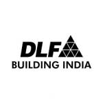 dlfproject Profile Picture