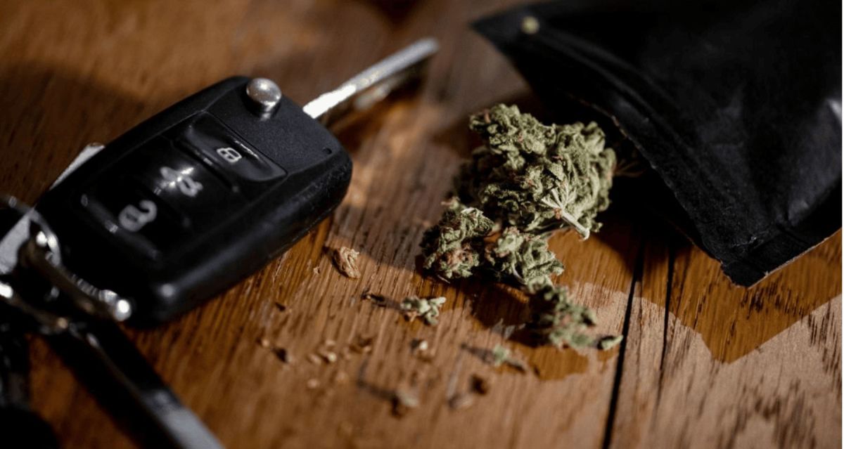 Dispelling Misconceptions: The Reality Of Medical Cannabis And Safe Driving – Cannabis Updates, News & Insights