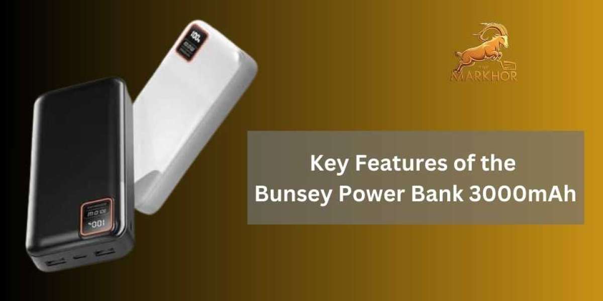 Key Features of the Bunsey Power Bank 3000mAh