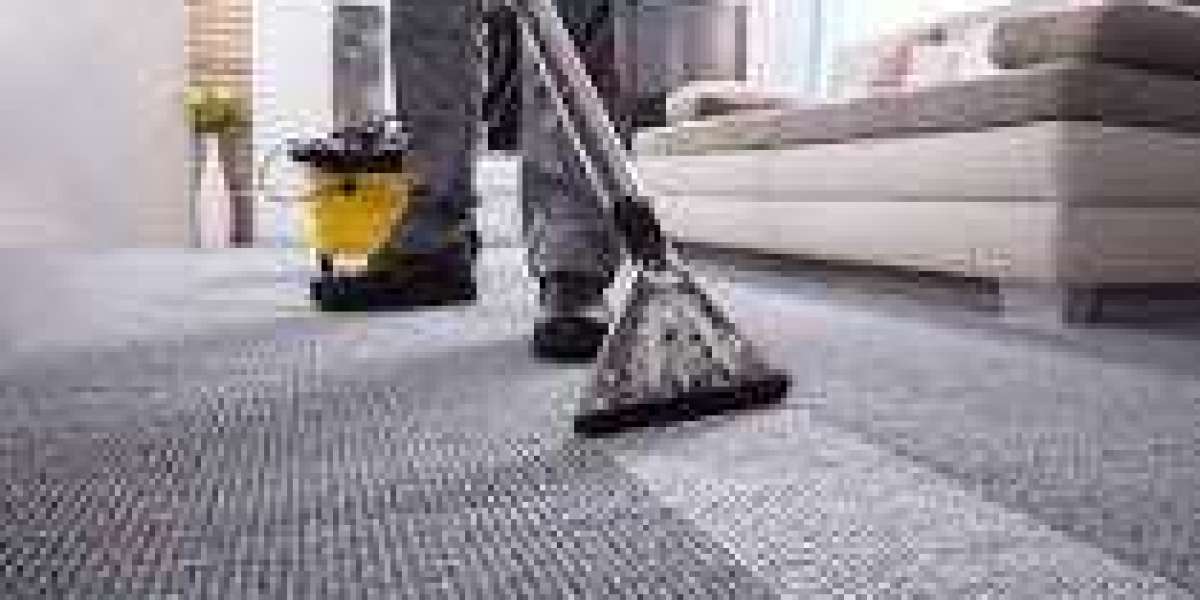 Why Professional Carpet Cleaning Services Are a Smart Investment