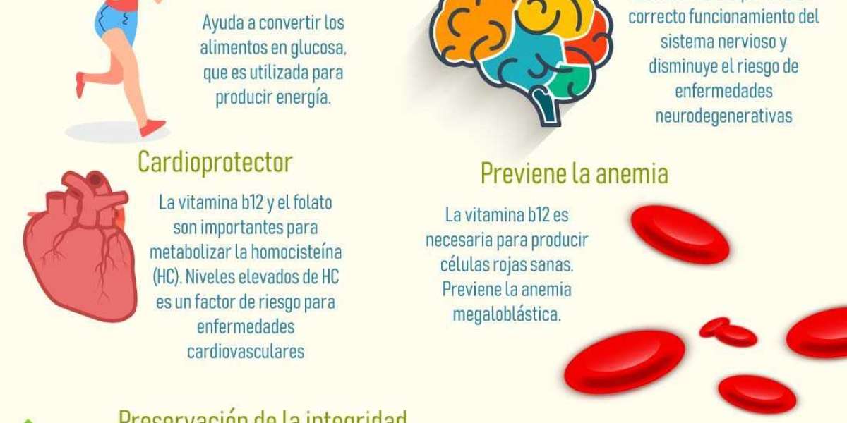 Romero: beneficios únicos, receta de té de romero y remedios