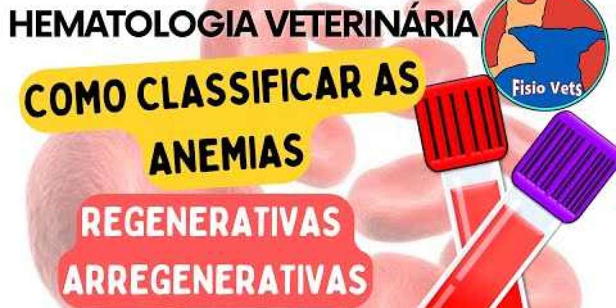 Todo lo que debes saber sobre el hemograma en perros: análisis completo