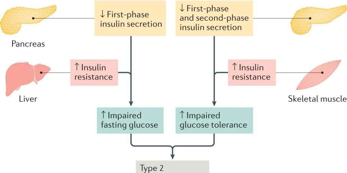 Diabetes Research Focus: Diabetic Mouse Modeling