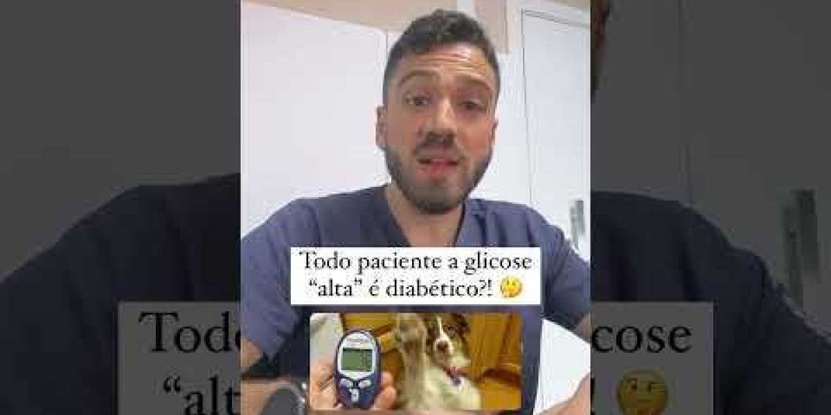 Problemas de hígado en perros: causas, síntomas y soluciones