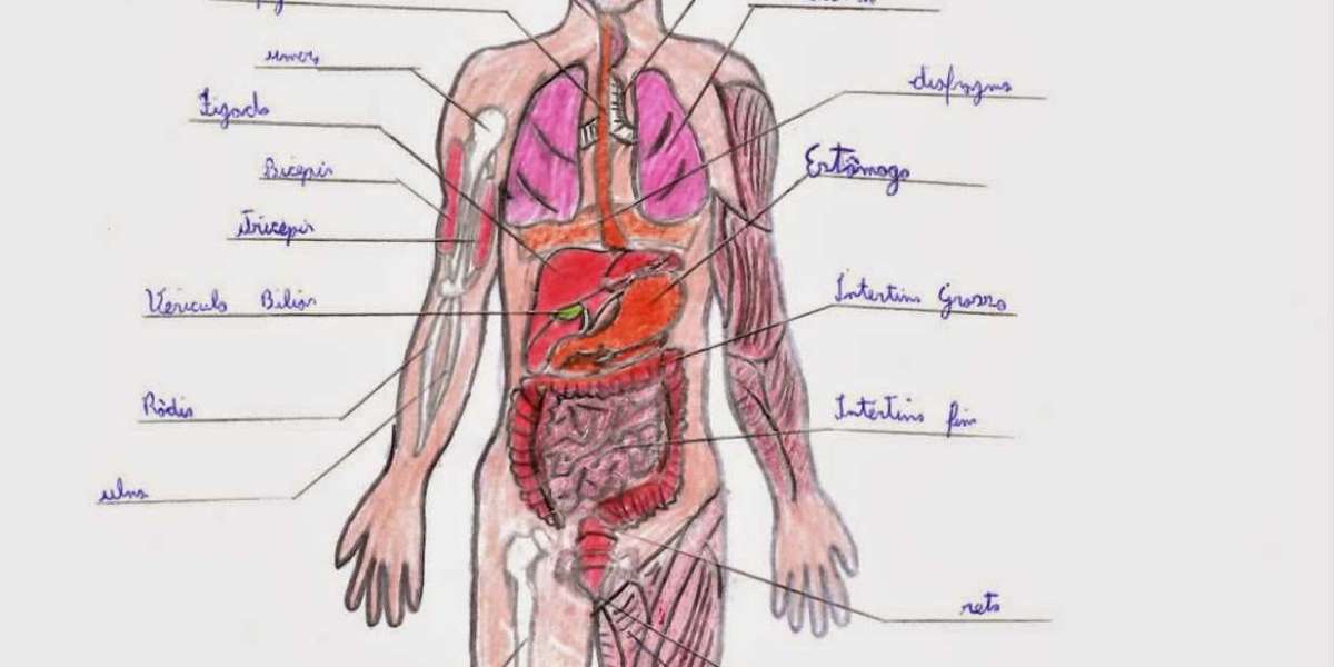 O Poder do Corpo: Como a Comunicação Não Verbal Transforma Relacionamentos