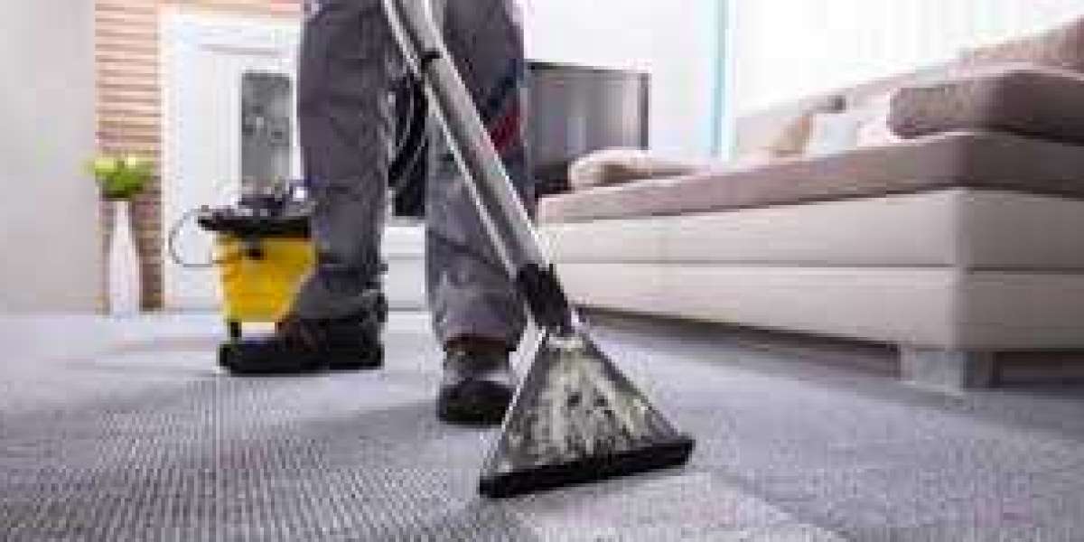 Professional Carpet Cleaning: The Key to a Refined Home Aesthetic