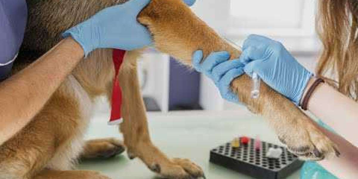 Clinical Diagnostic Laboratories Veterinary Medical Center