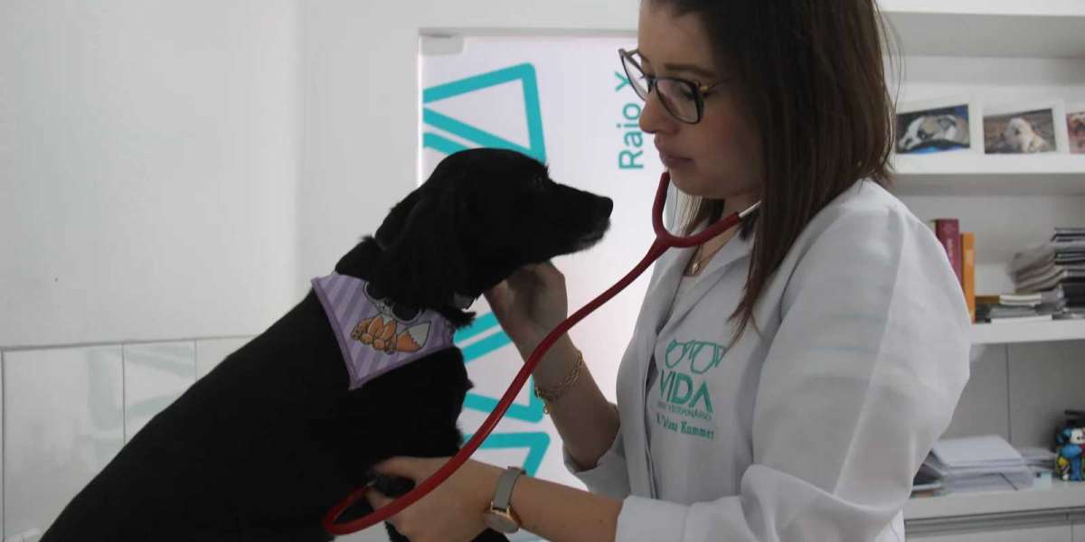 Categoría:Recurso de Radiografía Canina WikiVet Español