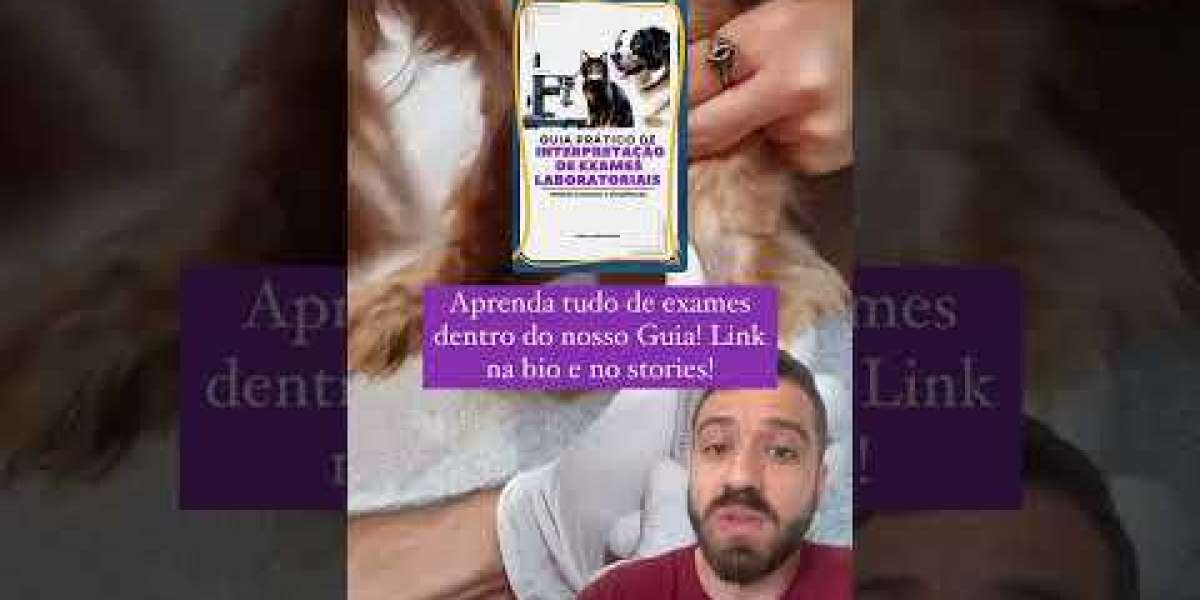 Radiografía para perro: Qué se ve, cuánto cuesta, dudas .. Mascota y Salud