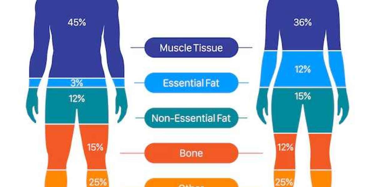 Entrenamiento cuerpo entero o Full Body