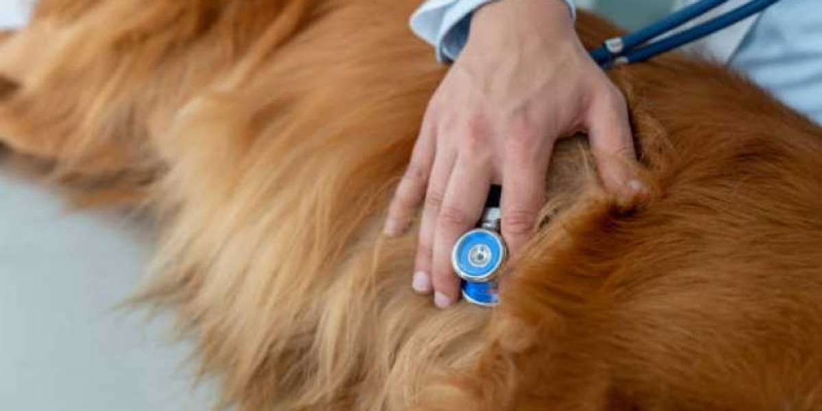 Determinación de valores ecocardiográficos en el Perro sin Pelo del Perú de tamaño mediano