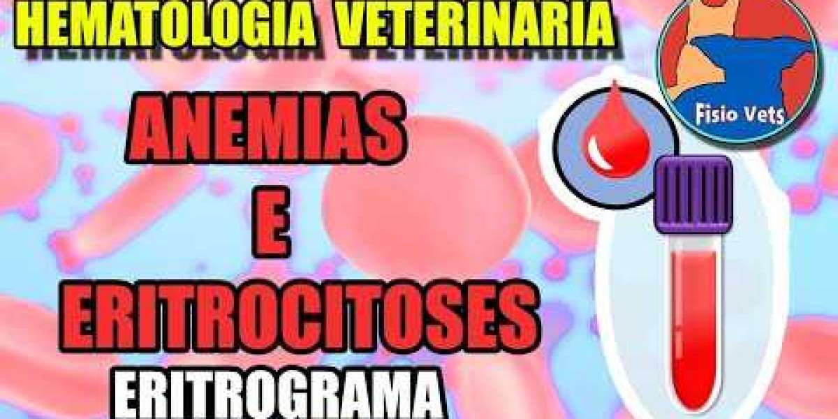 Ecografía ECCOA Diagnóstico Veterinario