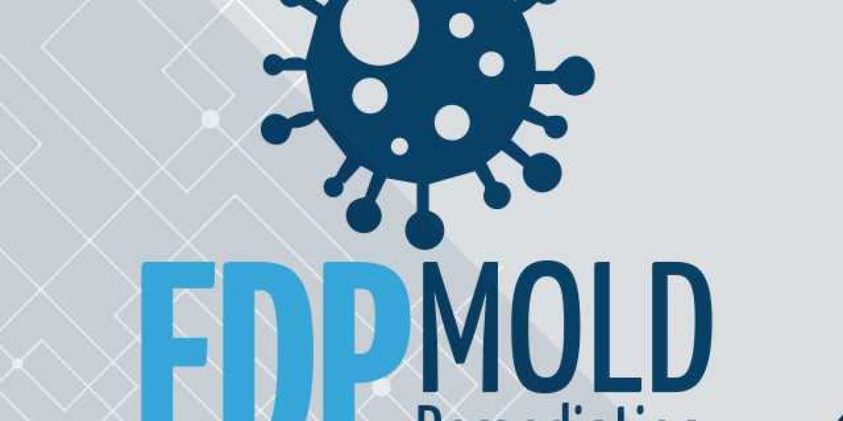 Mold Remediation and Testing: Protect Your Health and Home