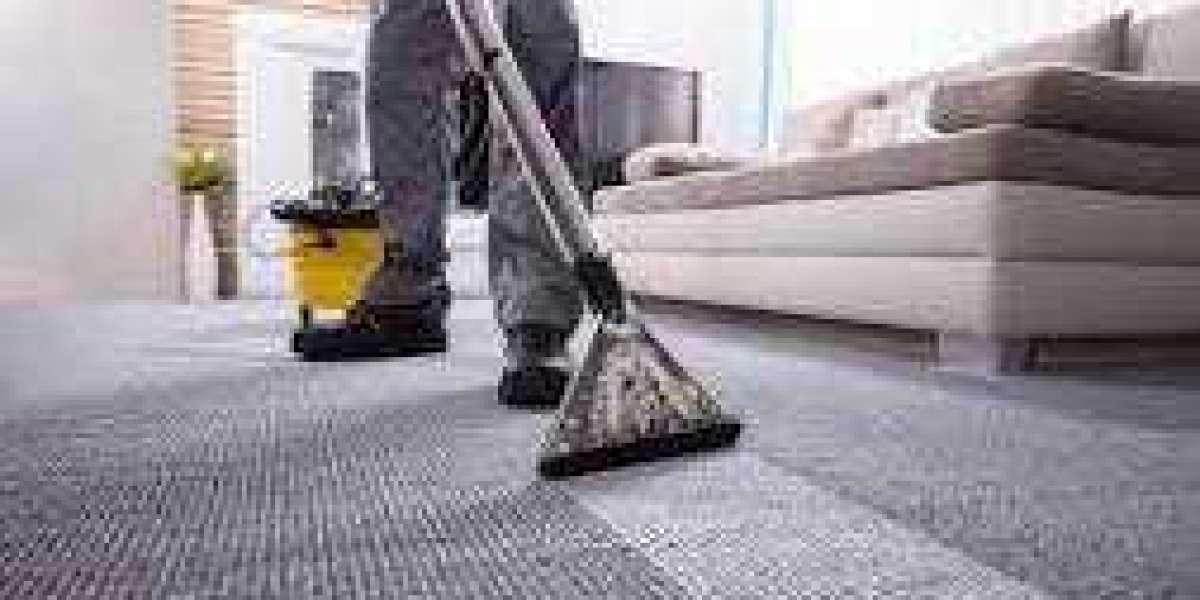 The Role of Professional Carpet Cleaning in Keeping Homes Beautiful