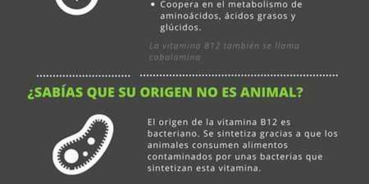 ¿La gelatina engorda o ayuda a adelgazar?: calorías y propiedades